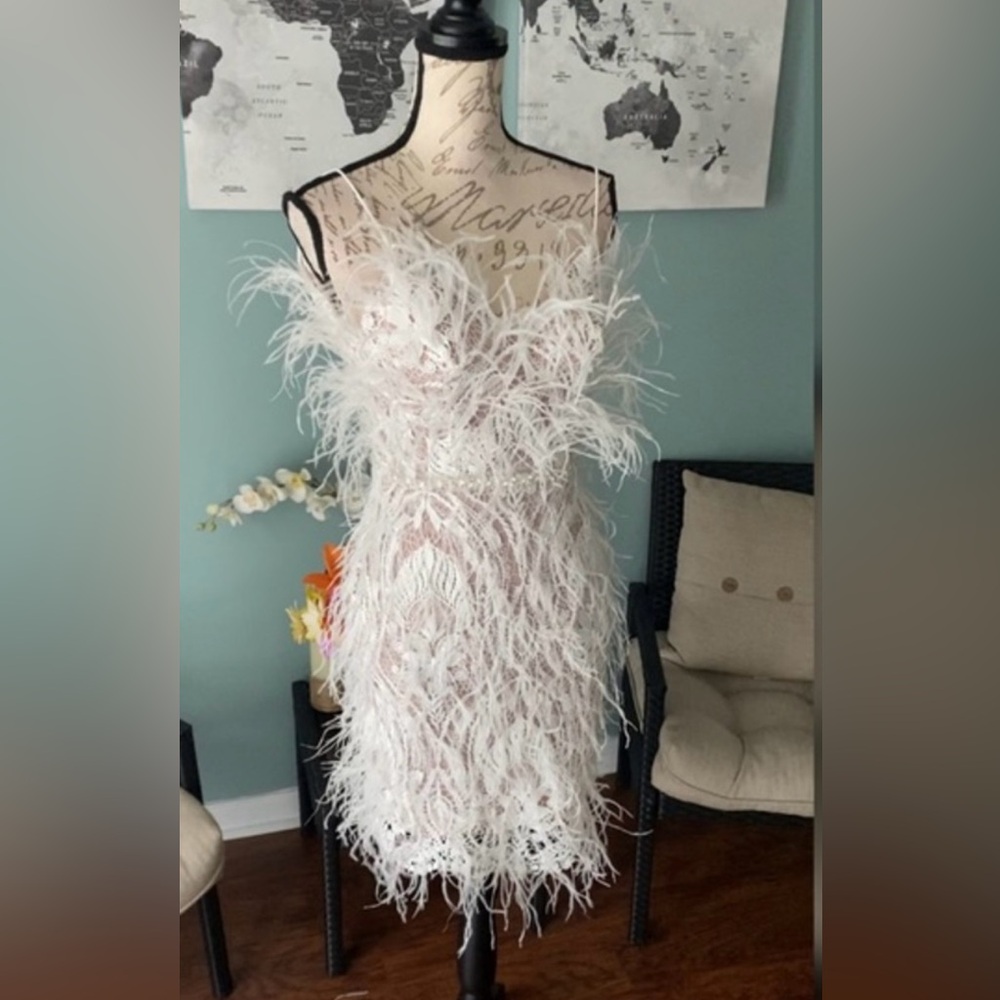 Lace feather mini dress
